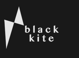 Black Kite Ltd - Business Consultancy